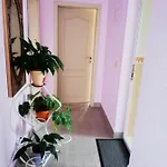 стойнови