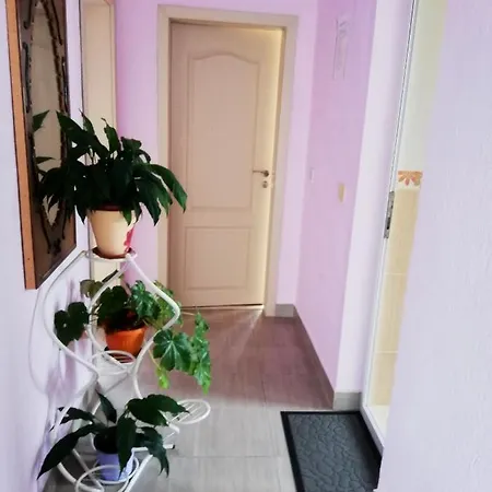 стойнови