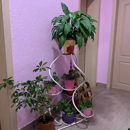 Habitación en casa particular стойнови *