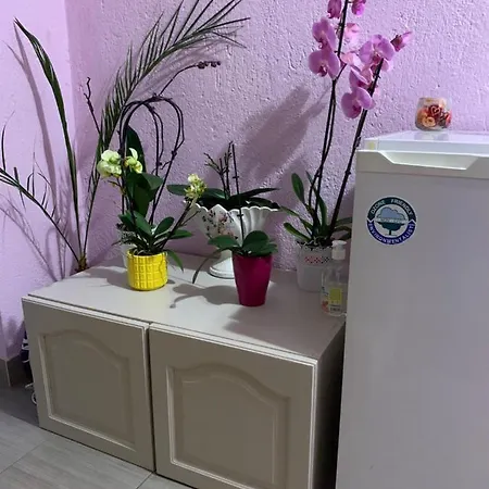 стойнови 홈스테이 파벨 반야