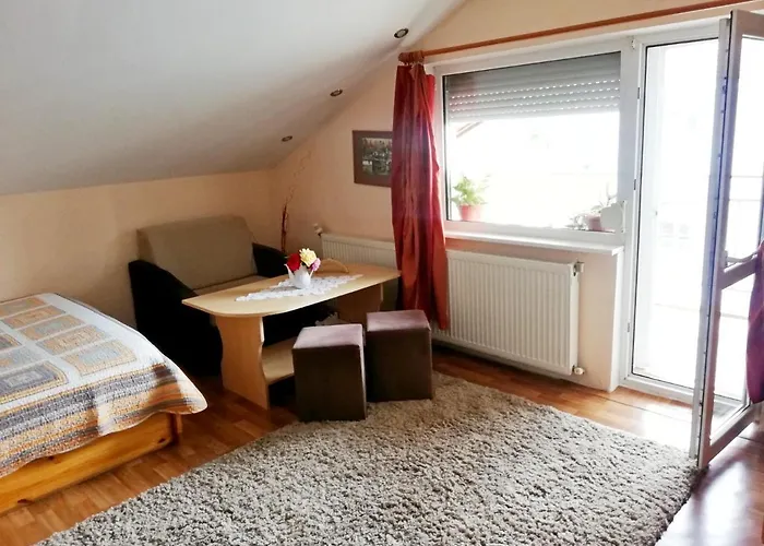 стойнови Habitación en casa particular Pavel Banya