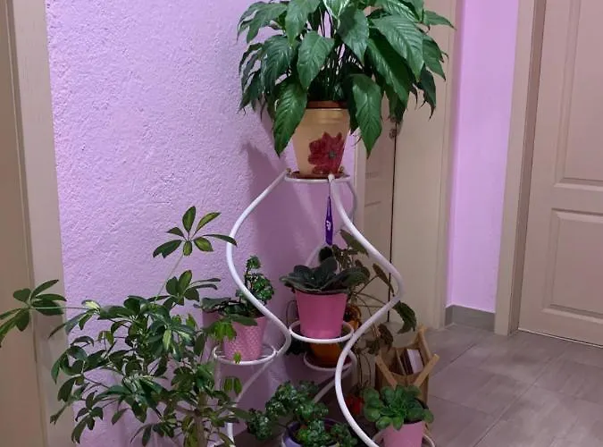 Habitación en casa particular стойнови *