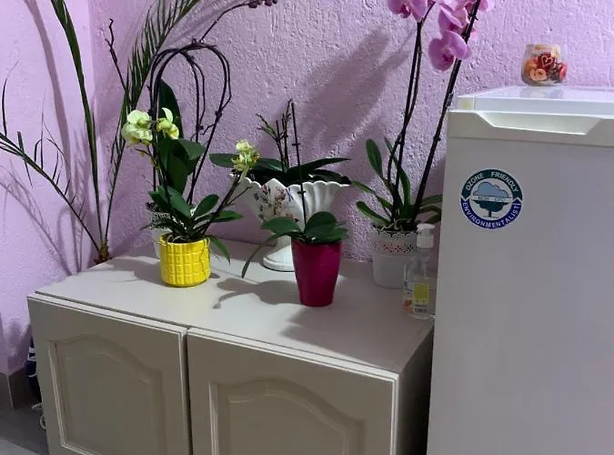 стойнови Habitación en casa particular Pavel Banya